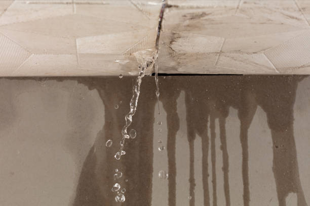 Professional Structural Drying technician working in Warren, IN